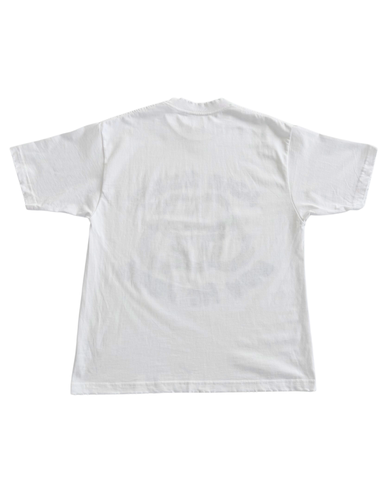 role model distress tee