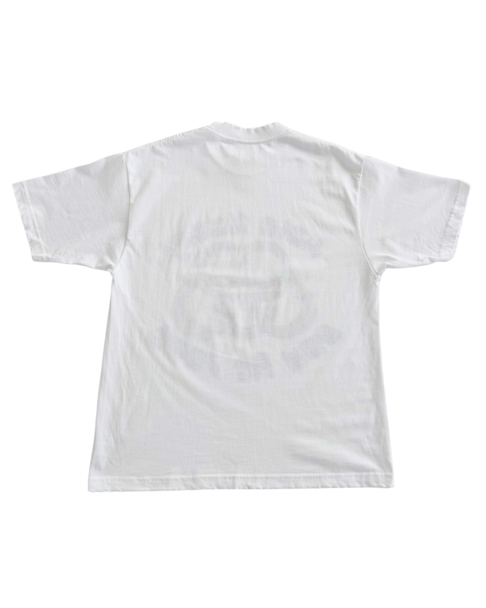 role model distress tee