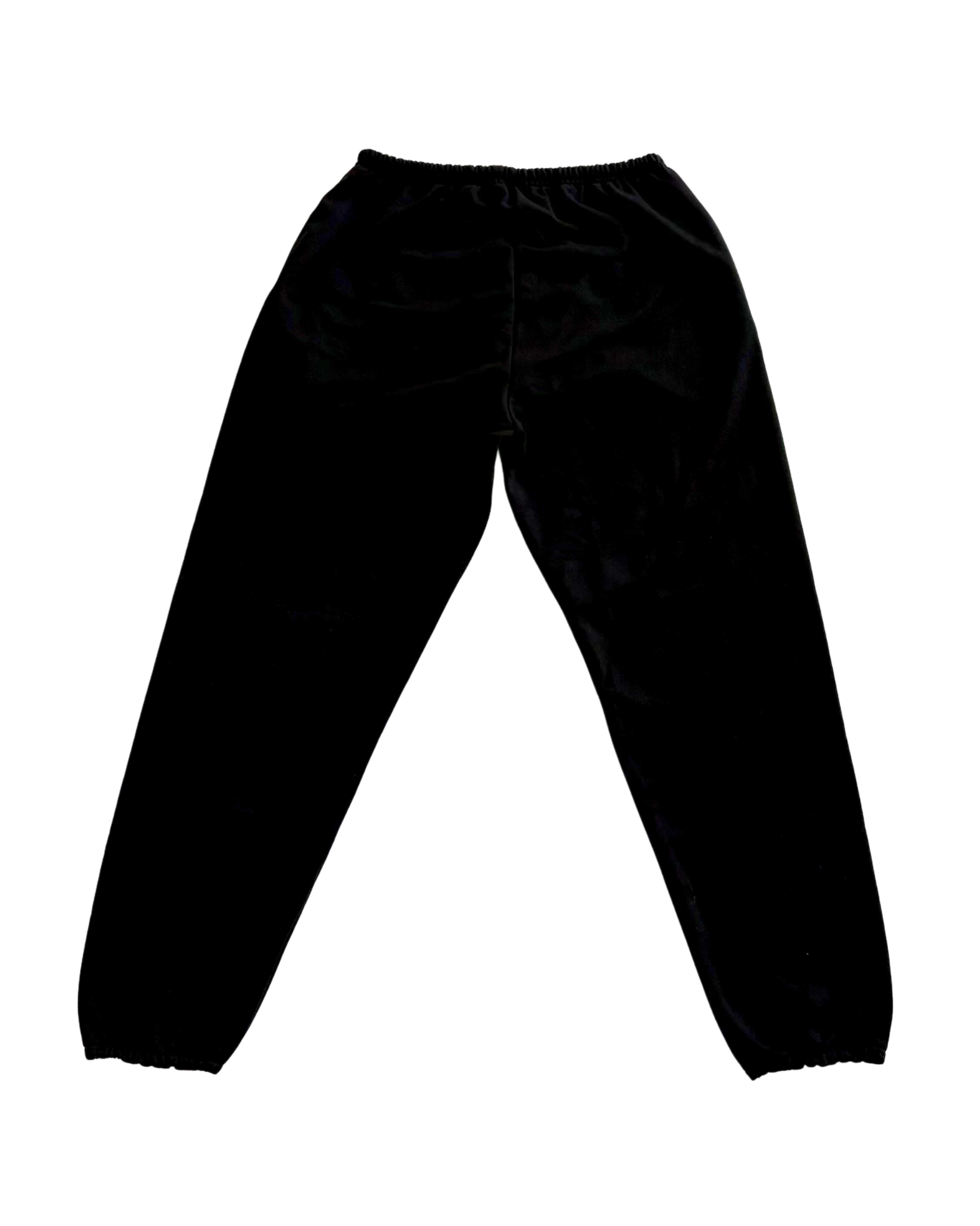 role model sweatpants